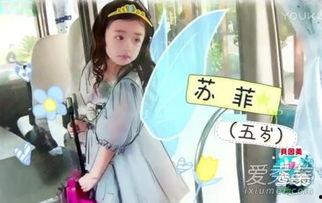 小手牵小狗苏菲资料,温馨互动，传递爱与陪伴