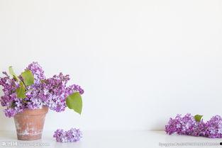 百结图片,探寻传统结艺的韵味与魅力